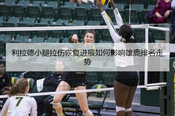 利拉德小腿拉伤恢复进展如何影响雄鹿排名走势