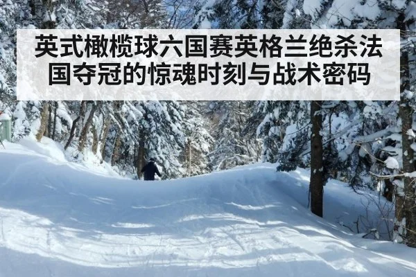 英式橄榄球六国赛英格兰绝杀法国夺冠的惊魂时刻与战术密码